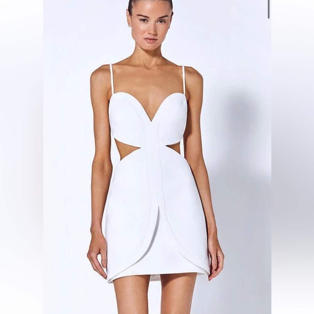 Alexis Electric Tokyo Mini Dress